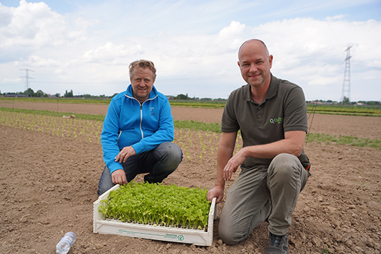 Giesen heeft een groot aantal proefveldmachines in z’n schuur staan, waaronder diverse proefveldcombines, proefveldspuiten en zaai- en schoffelapparatuur.